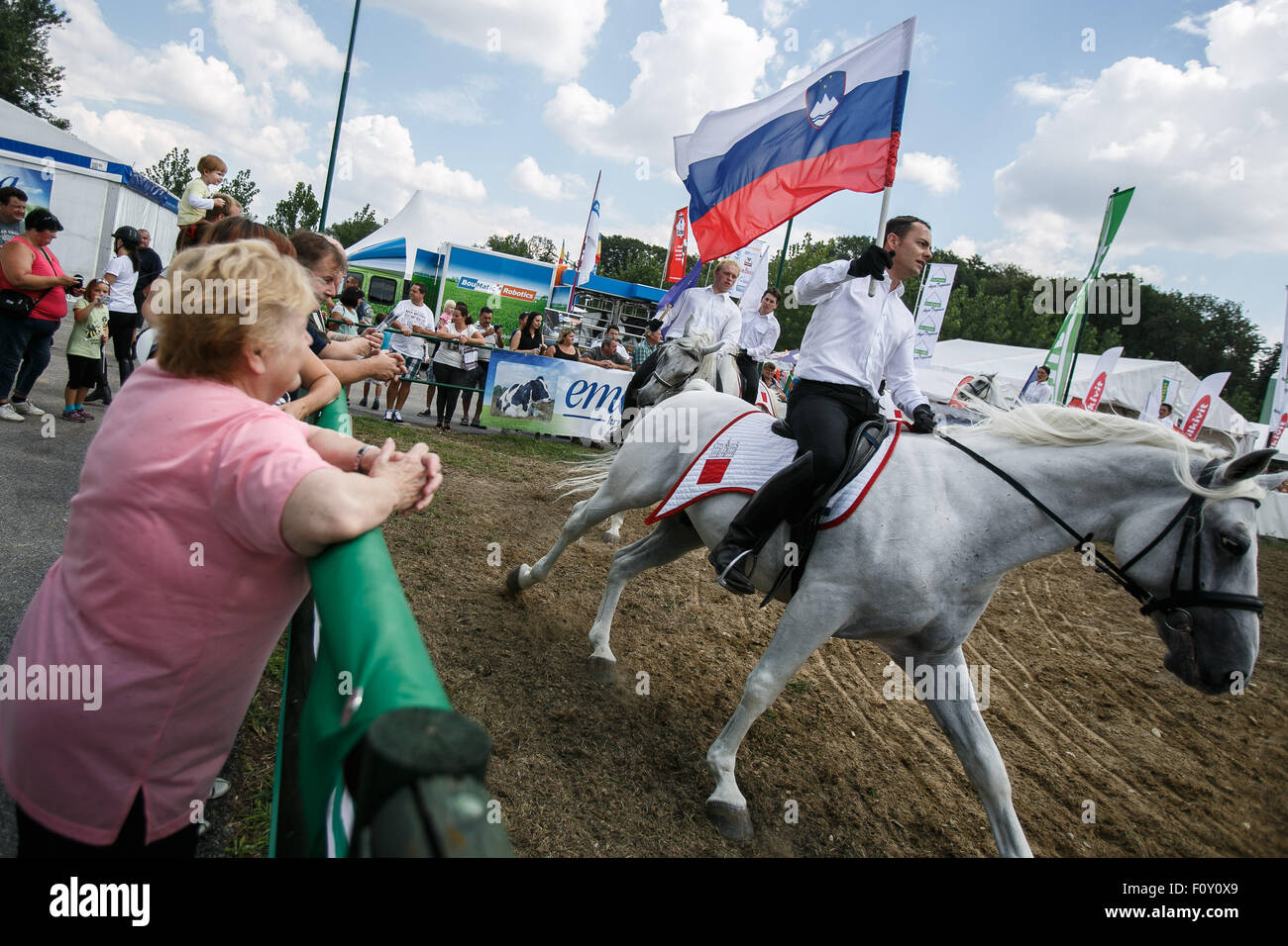 Ljubljana, Slovénie. Août 22, 2015. Les gens regardent un spectacle de chevaux lipizzan durant la 53e foire agricole 'AGRA' à Gornja Radgona, Slovénie, le 22 août 2015. 'AGRA', le plus grand salon de l'alimentation et l'agriculture dans la région des Balkans, a attiré 1 785 exposants de 30 pays. Credit : Luka Dakskobler/Xinhua/Alamy Live News Banque D'Images