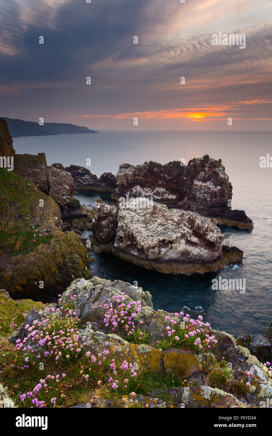 À l'ouest en direction de North Berwick St Abb's Head au coucher du soleil Banque D'Images