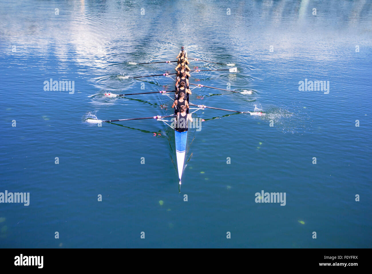 Huit rameurs aviron barques sur le lac tranquille Banque D'Images