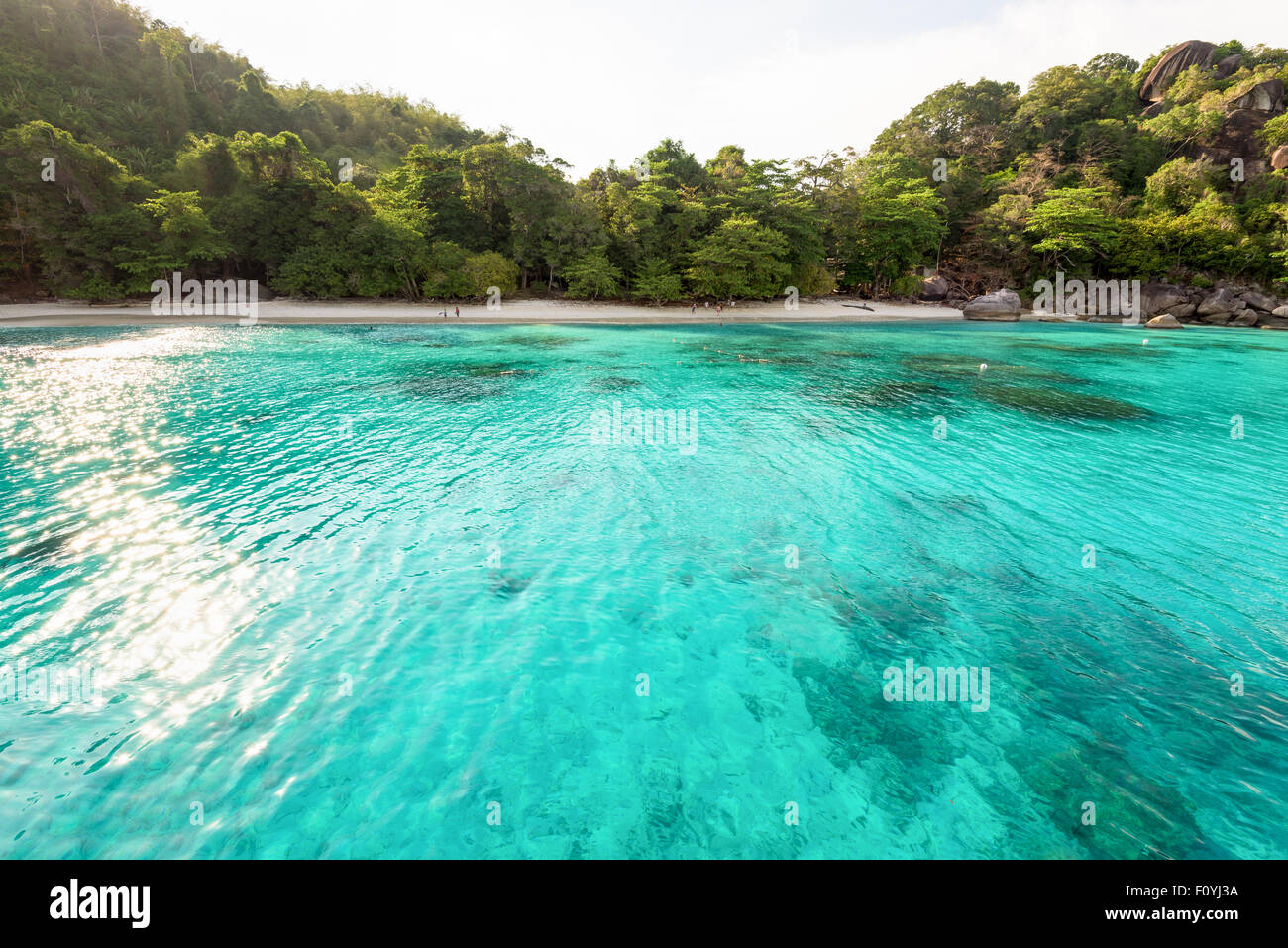 Beau front de mer bleu vert petite plage à Honeymoon Bay est un des sites célèbres pour la plongée sur Ko Miang à Koh Similan Banque D'Images