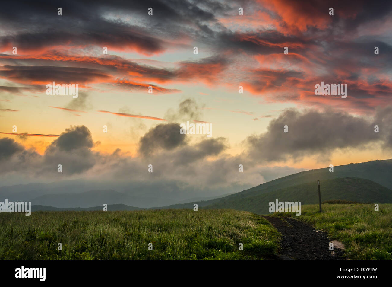Rose d'un lever du soleil pendant les heures tôt le matin sur le Pygargue à tête ronde le long de l'Appalachian Trail Banque D'Images