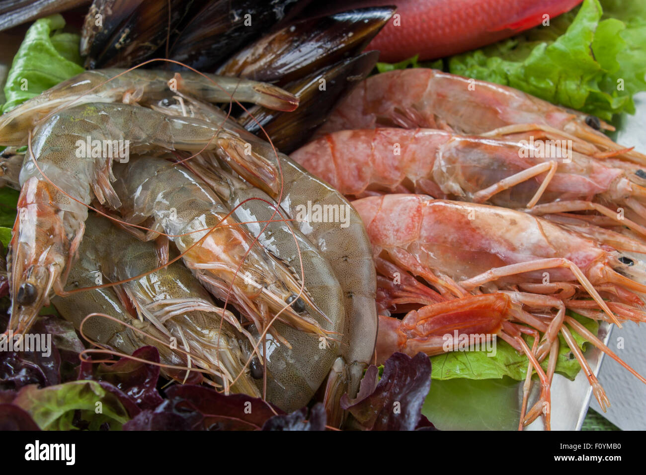 Sur le plateau de fruits de mer frais Banque D'Images