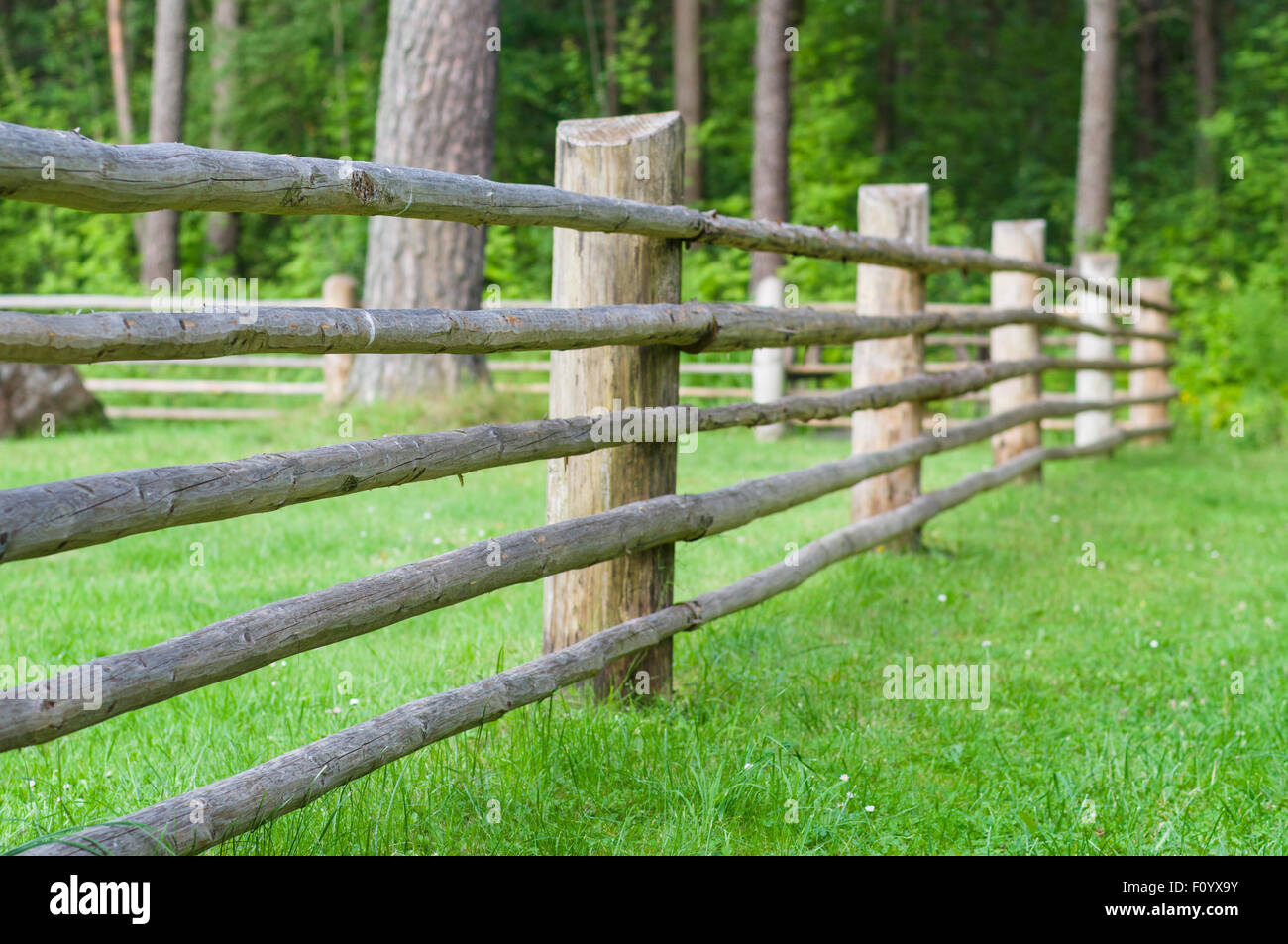 Clôture en bois en milieu rural avec pelouse verte, partie de bovins ferme-pen Banque D'Images