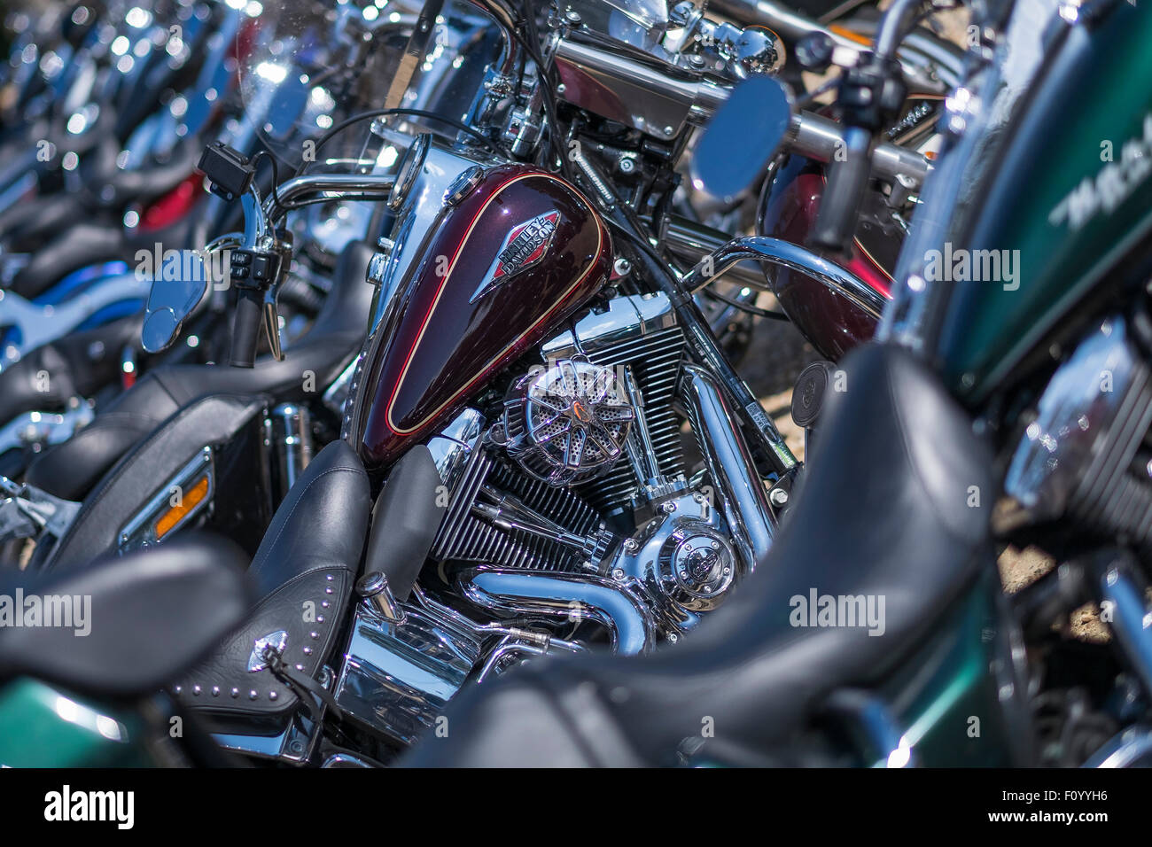 Une photo d'un cycle moteur Harley Davidson entouré par des flous Harley Davidson motor cycles. Banque D'Images