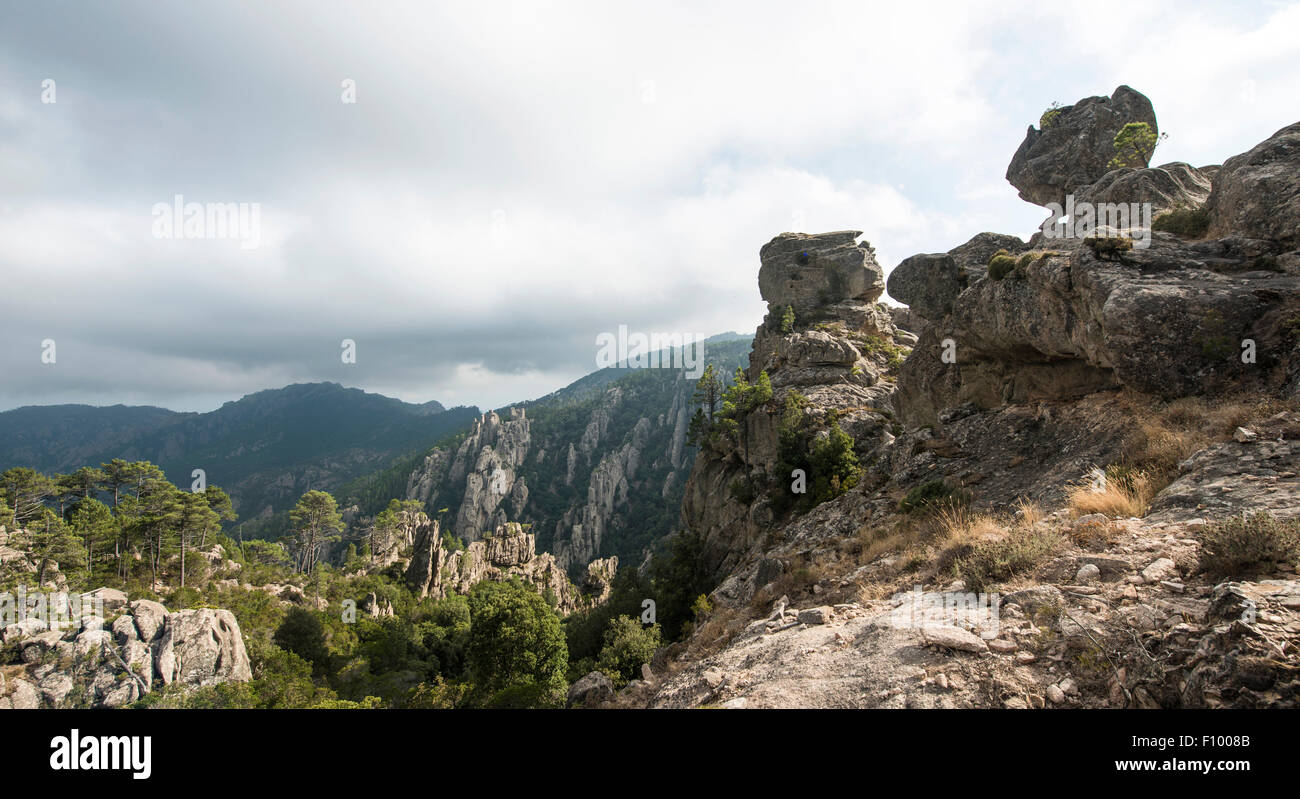 Rock formation, paysage de montagne, l&# 39;Ospedale Alta Rocca, Corse, France Banque D'Images