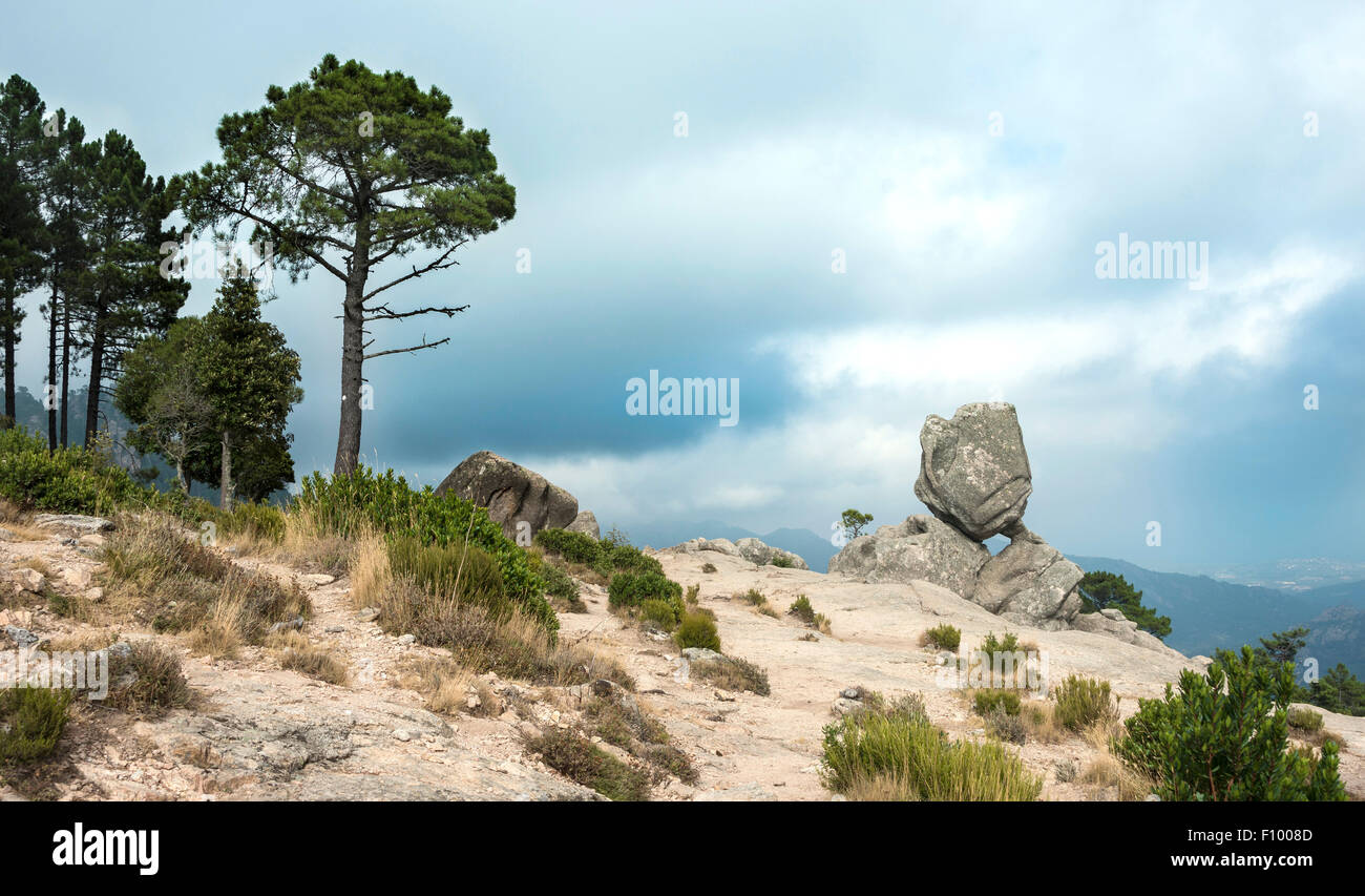 Rock formation, paysage de montagne, l&# 39;Ospedale Alta Rocca, Corse, France Banque D'Images