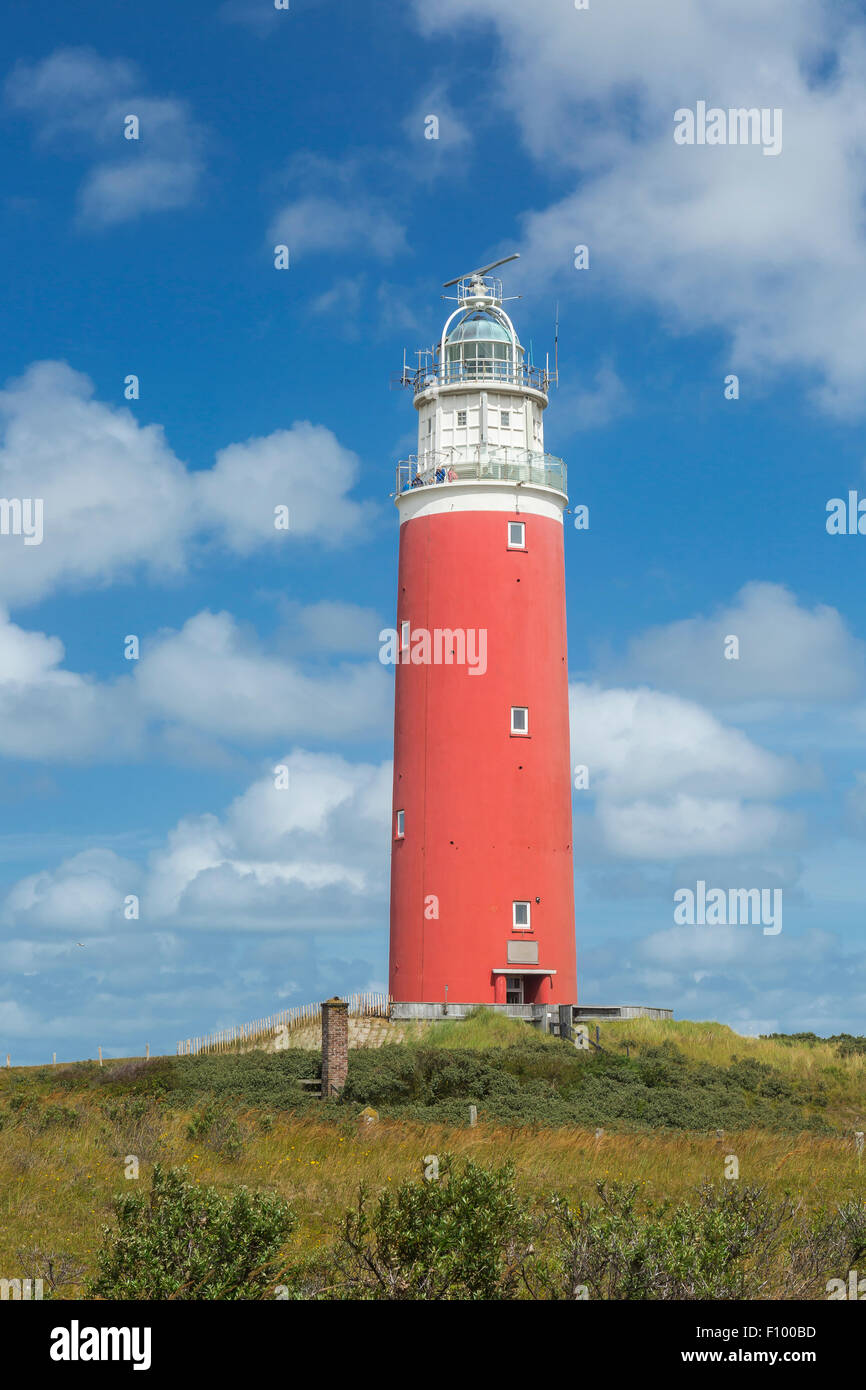 Eierland, phare De Cocksdorp, Texel, à l'ouest de l'archipel Frison, Province de la Hollande du Nord, Hollande, Pays-Bas Banque D'Images