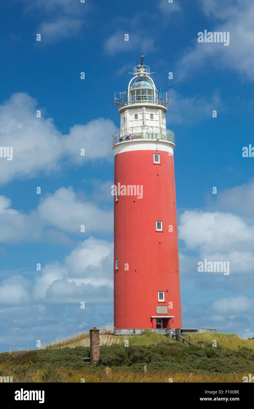 Eierland, phare De Cocksdorp, Texel, à l'ouest de l'archipel Frison, Province de la Hollande du Nord, Hollande, Pays-Bas Banque D'Images