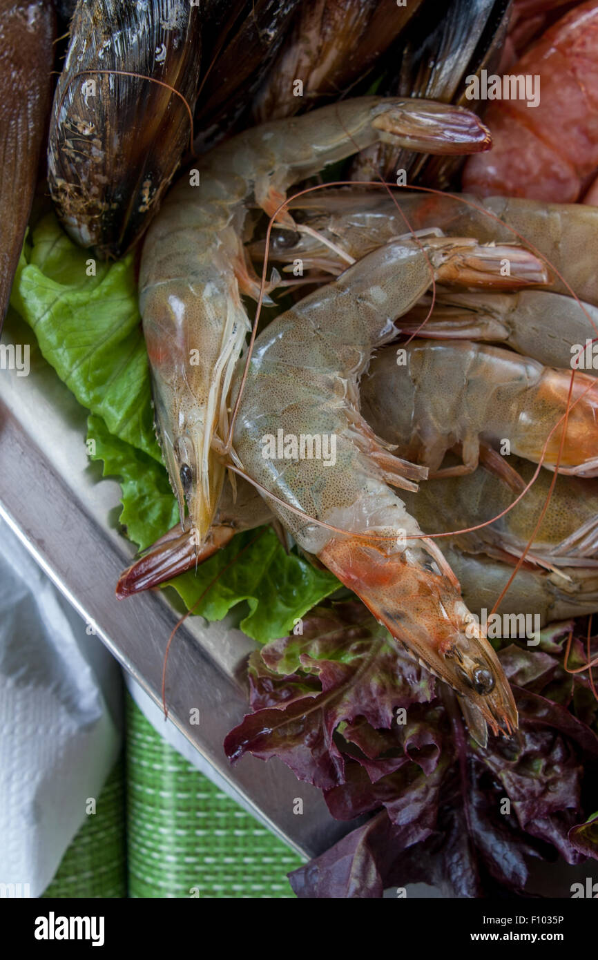 Sur le plateau de fruits de mer frais Banque D'Images