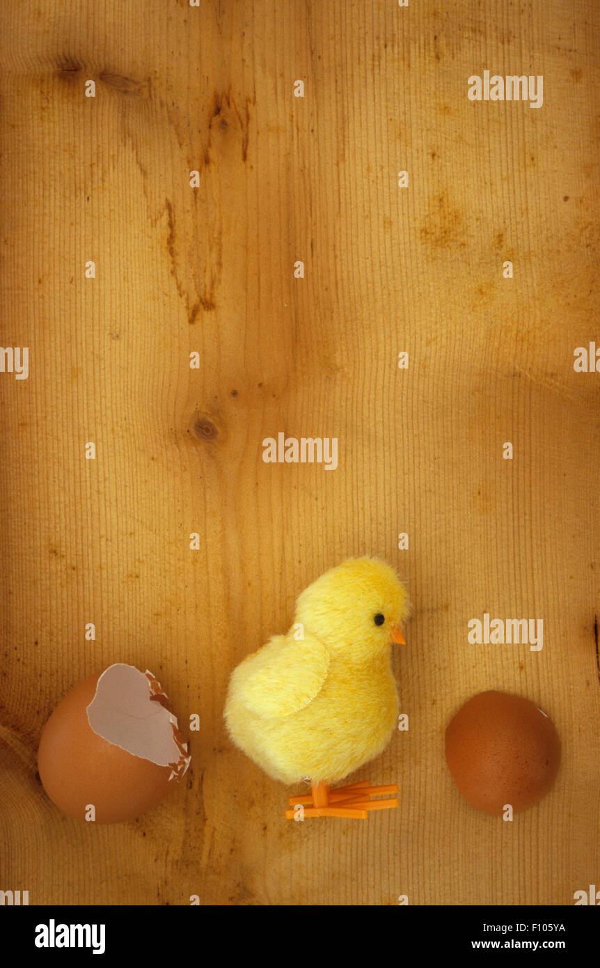 Fluffy toy jaune poussin avec pieds en plastique à la recherche à l'oeuf qui a ouvert et a été éventuellement accueil Banque D'Images Fluffy toy jaune poussin avec pieds en plastique à la recherche à l'oeuf qui a ouvert et a été éventuellement accueil Banque D'Images