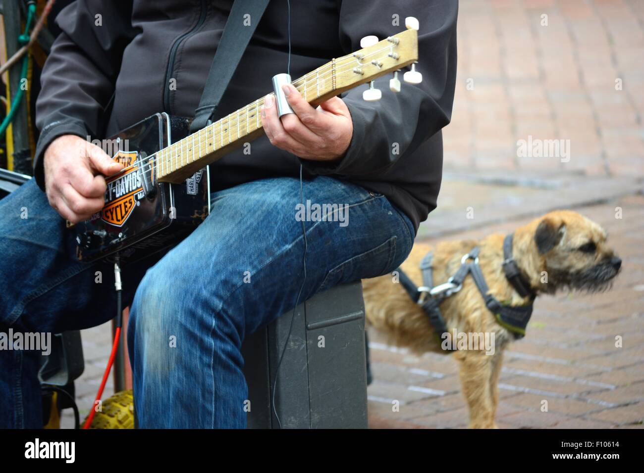 Musicien ambulant jouant de la guitare slide avec un chien à ses côtés. Banque D'Images