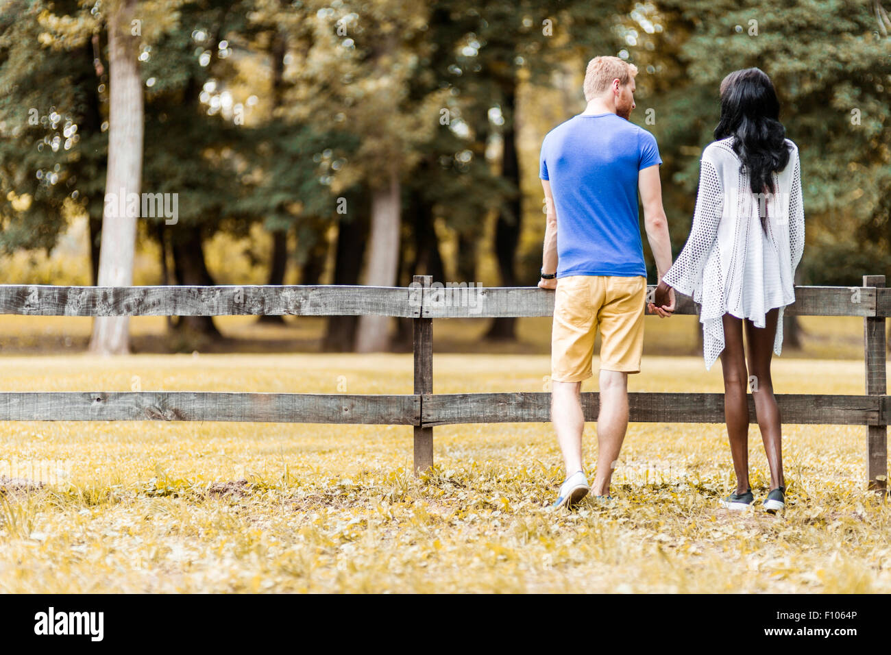 Heureux couple amoureux se tenant par la main dans un parc en automne Banque D'Images