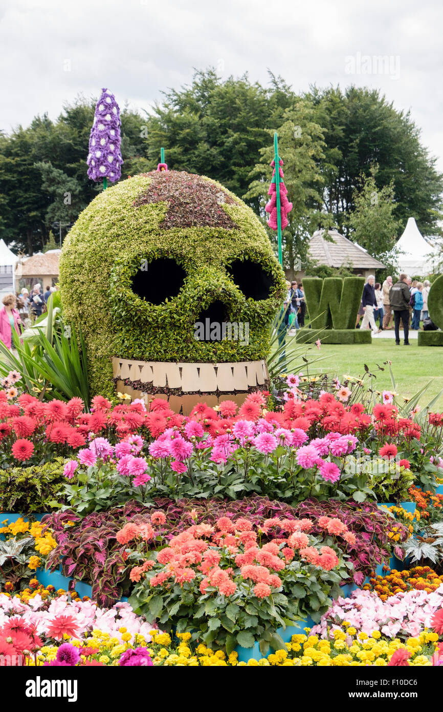 Le jour de l'affichage le jardin Dahlia parterre par Birmingham City Council à Cheshire RHS Flower Show Tatton Park, Angleterre, RU Banque D'Images