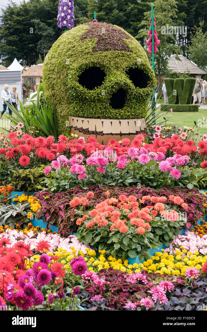 La journée du Dahlia fleur lit jardin afficher par Birmingham City Council à Cheshire RHS Flower Show Tatton Park, Angleterre, RU Banque D'Images