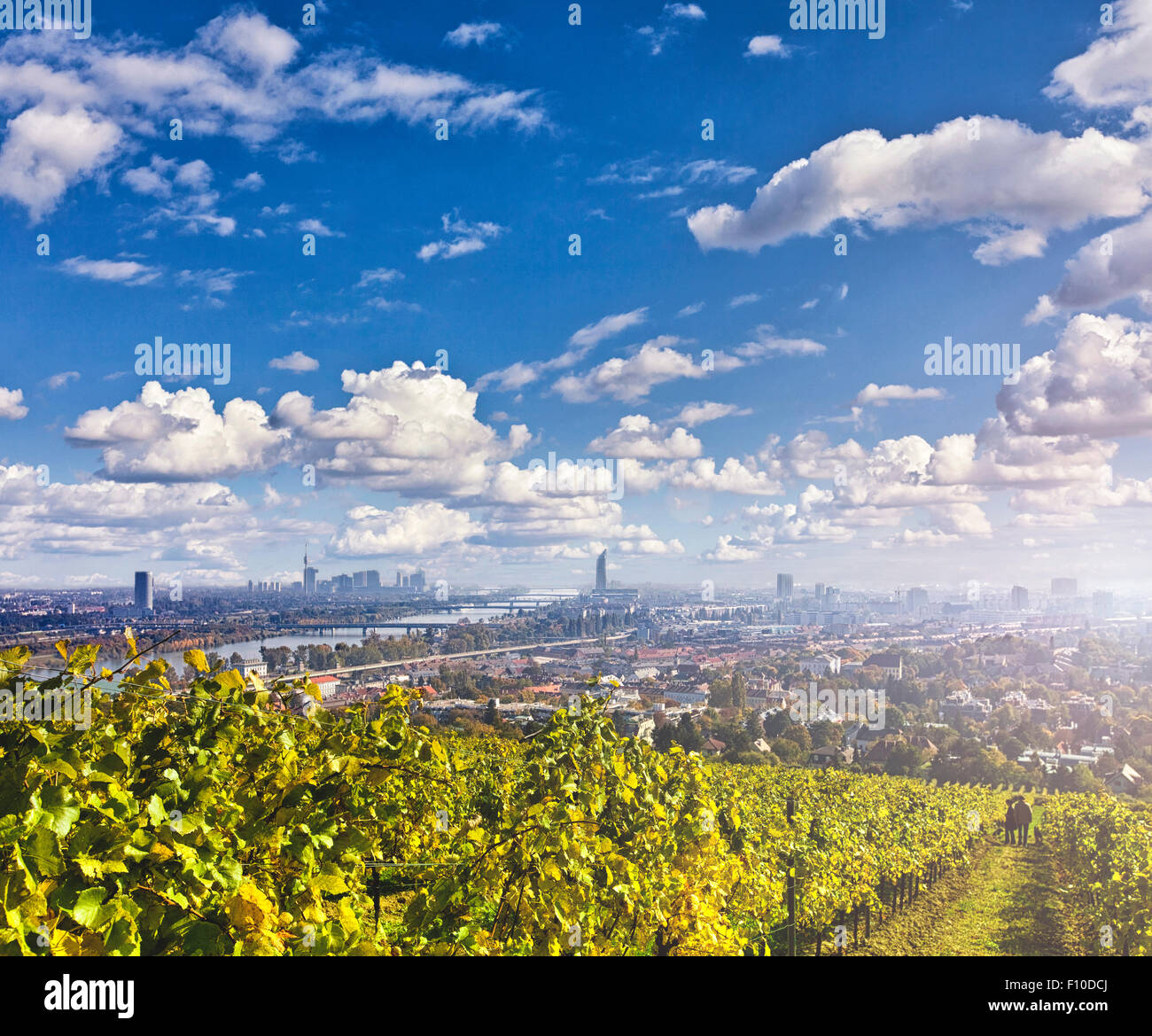 Vue sur le Danube et les toits de Vienne. Les vignes en face sont de Nussdorf en banlieue de Vienne Banque D'Images