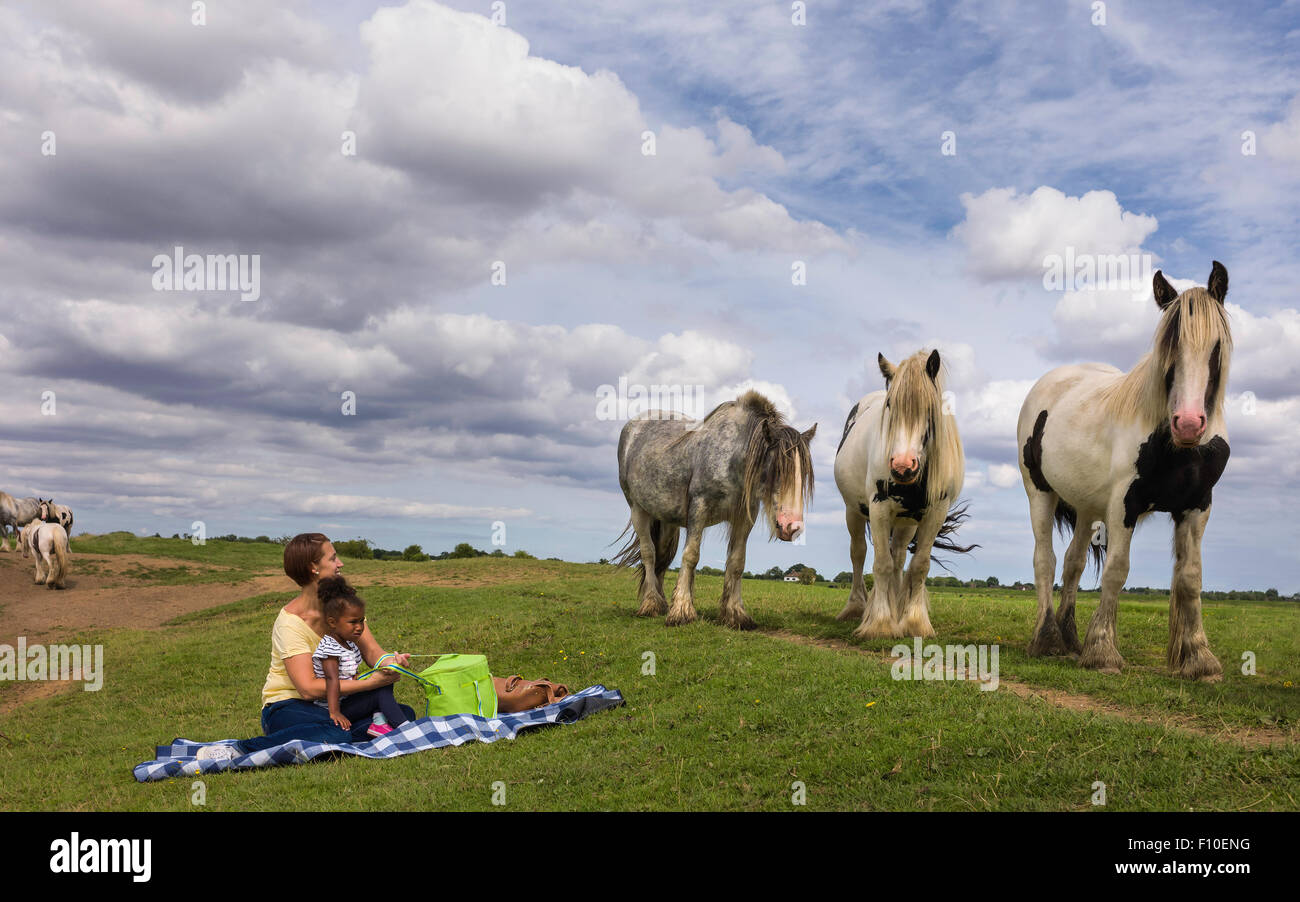 Mère et fille entouré par des chevaux de pique-nique en plein champ, par un beau jour d'été. Banque D'Images