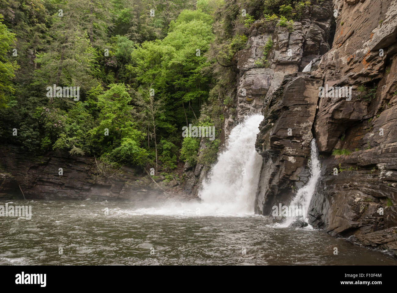 Les randonneurs peuvent obtenir une vue du niveau de la rivière Linville Falls dans ce parc national Banque D'Images