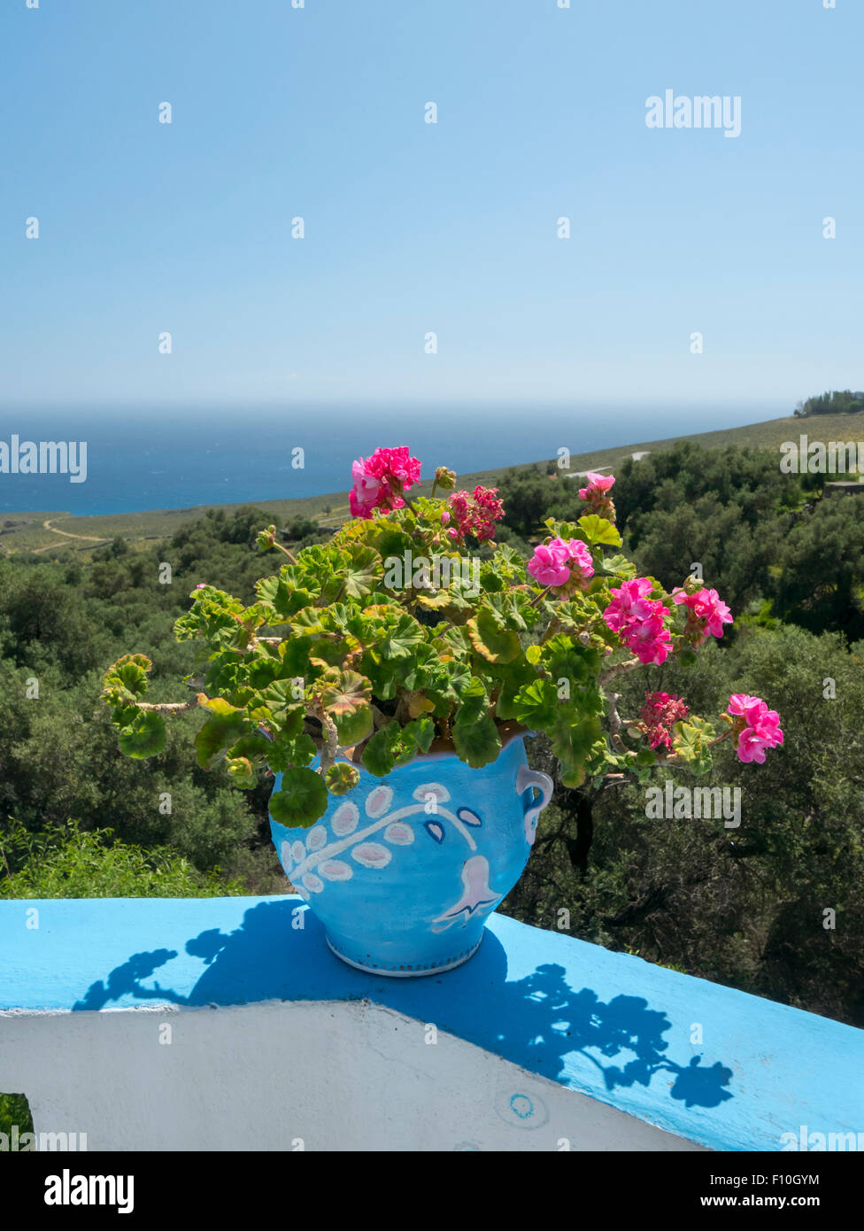 Pot de géraniums roses, Komitades, Crète, Grèce. Banque D'Images