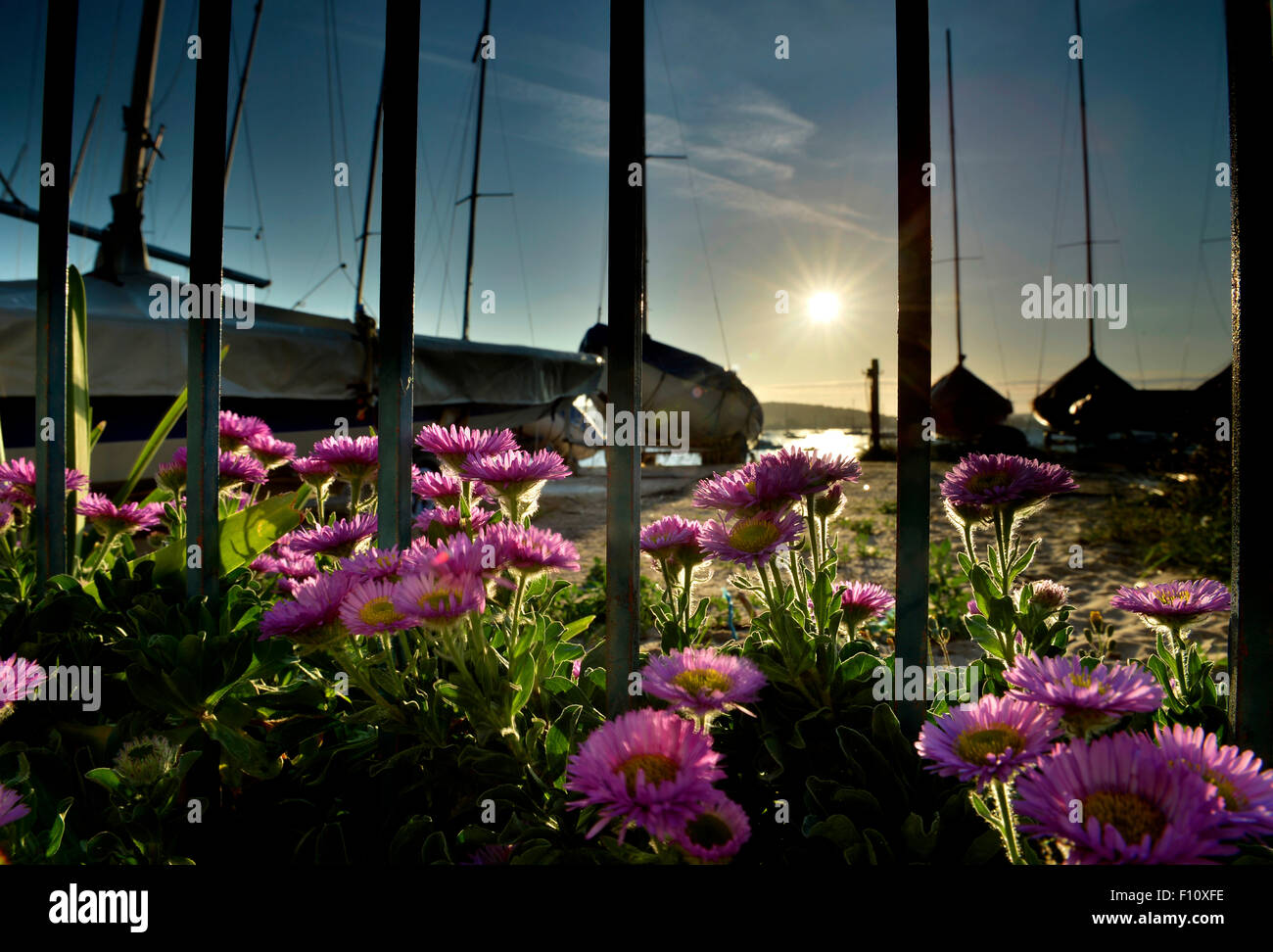 Plage d'Exmouth / River Exe Coucher du Soleil - Devon - Angleterre Banque D'Images