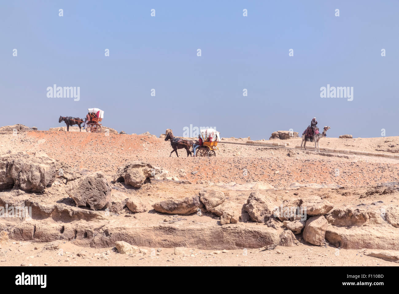 Caleshes et chameaux dans le désert au Caire, Egypte, Afrique du Sud Banque D'Images