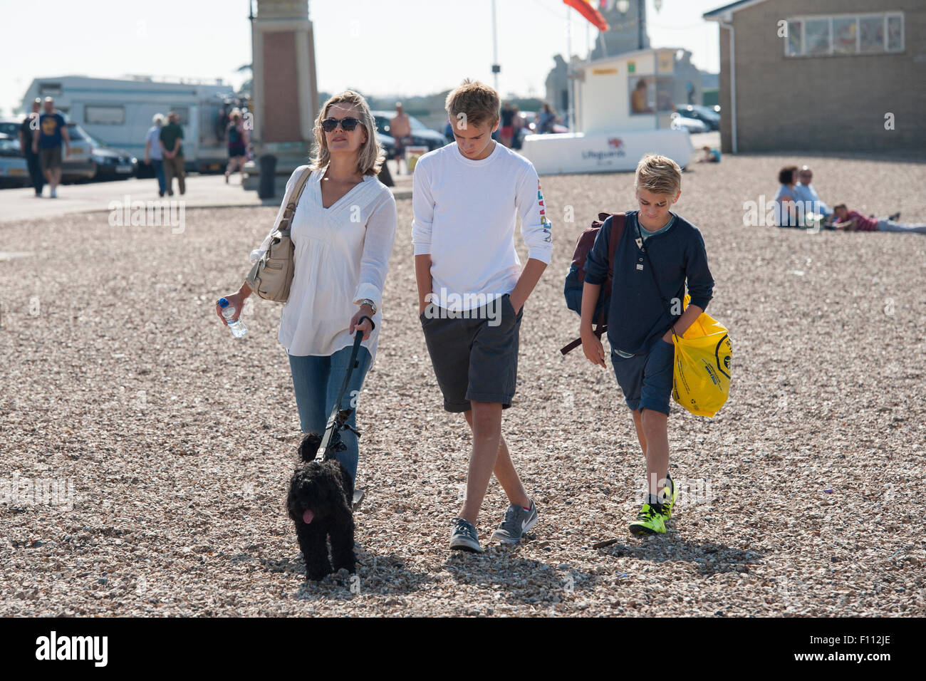 Une mère et ses deux fils adolescents, marcher le long d'une plage de galets à Portsmouth avec leur chien noir cockapoo Banque D'Images