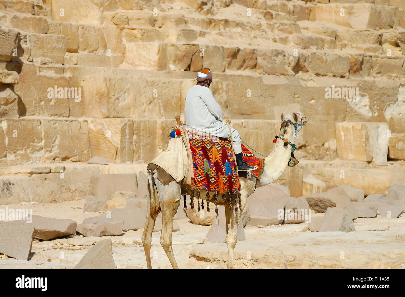 Près de bédouins Pyramides de Guizeh - Le Caire - Egypte Banque D'Images