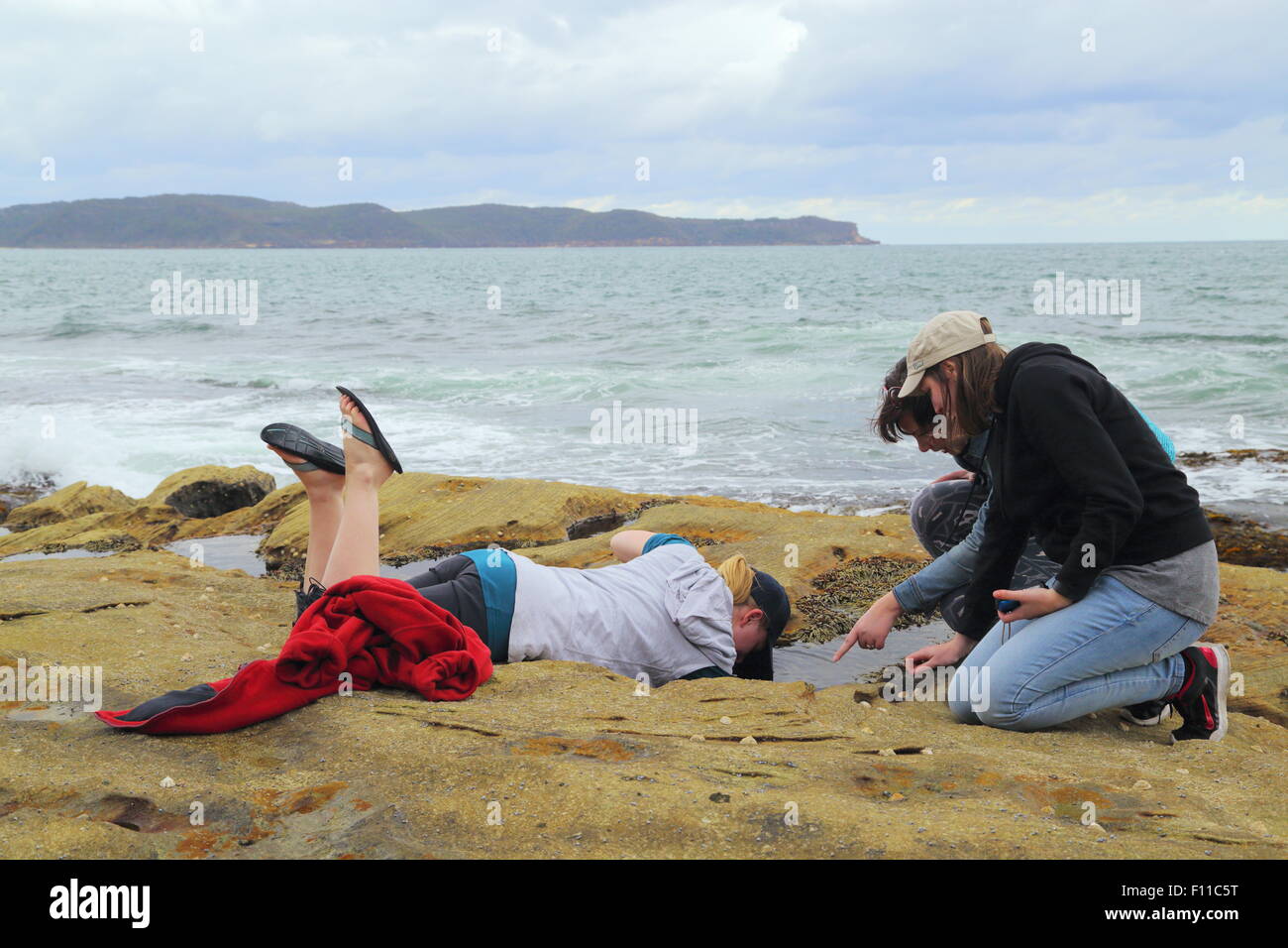 Trois jeunes femmes à la découverte de la vie dans l'écologie de la mer un raz-de-rock pool sur le Pearl Beach, New South Wales, NSW, Australie. Banque D'Images