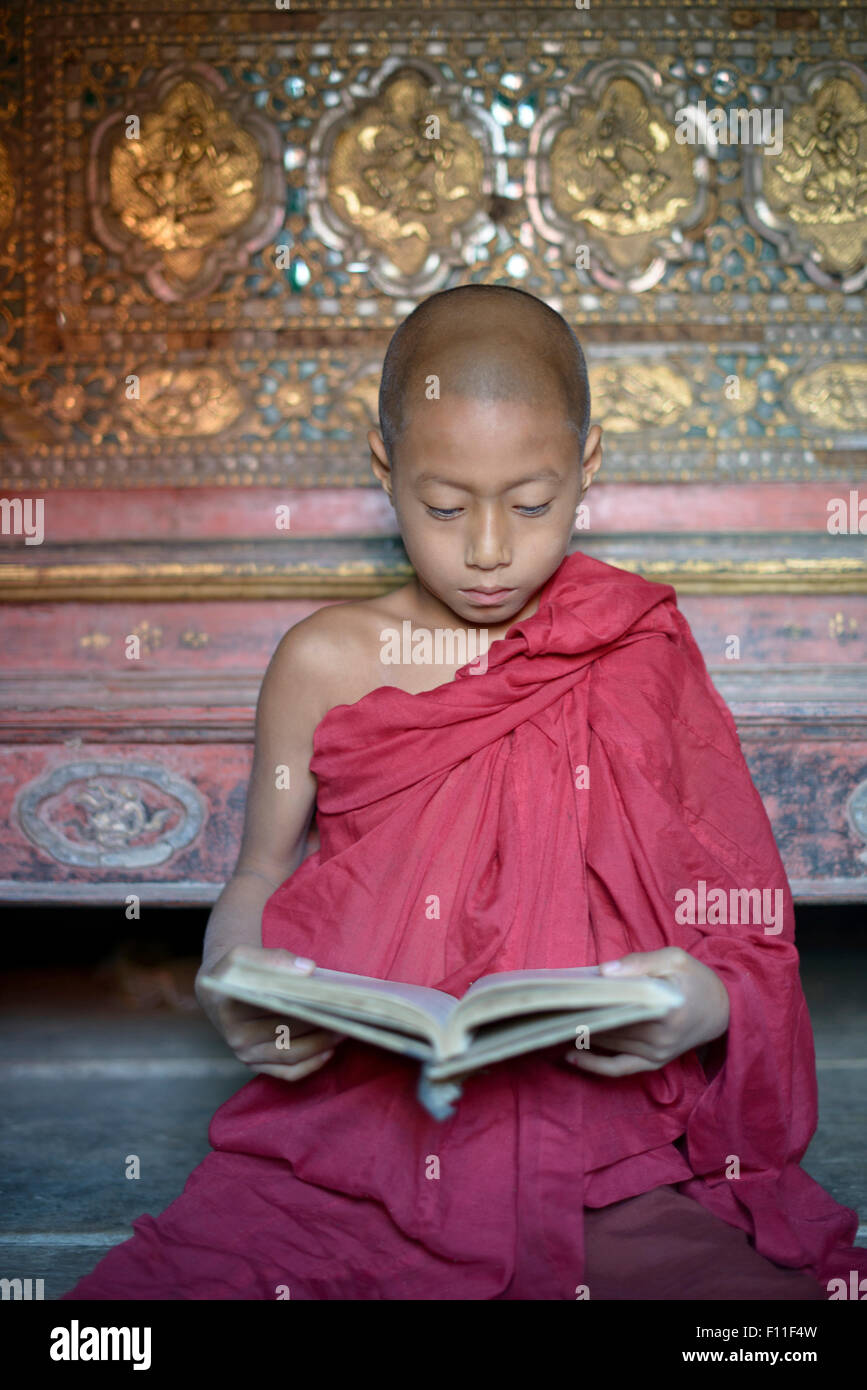 Moine asiatique en formation reading book in temple Banque D'Images