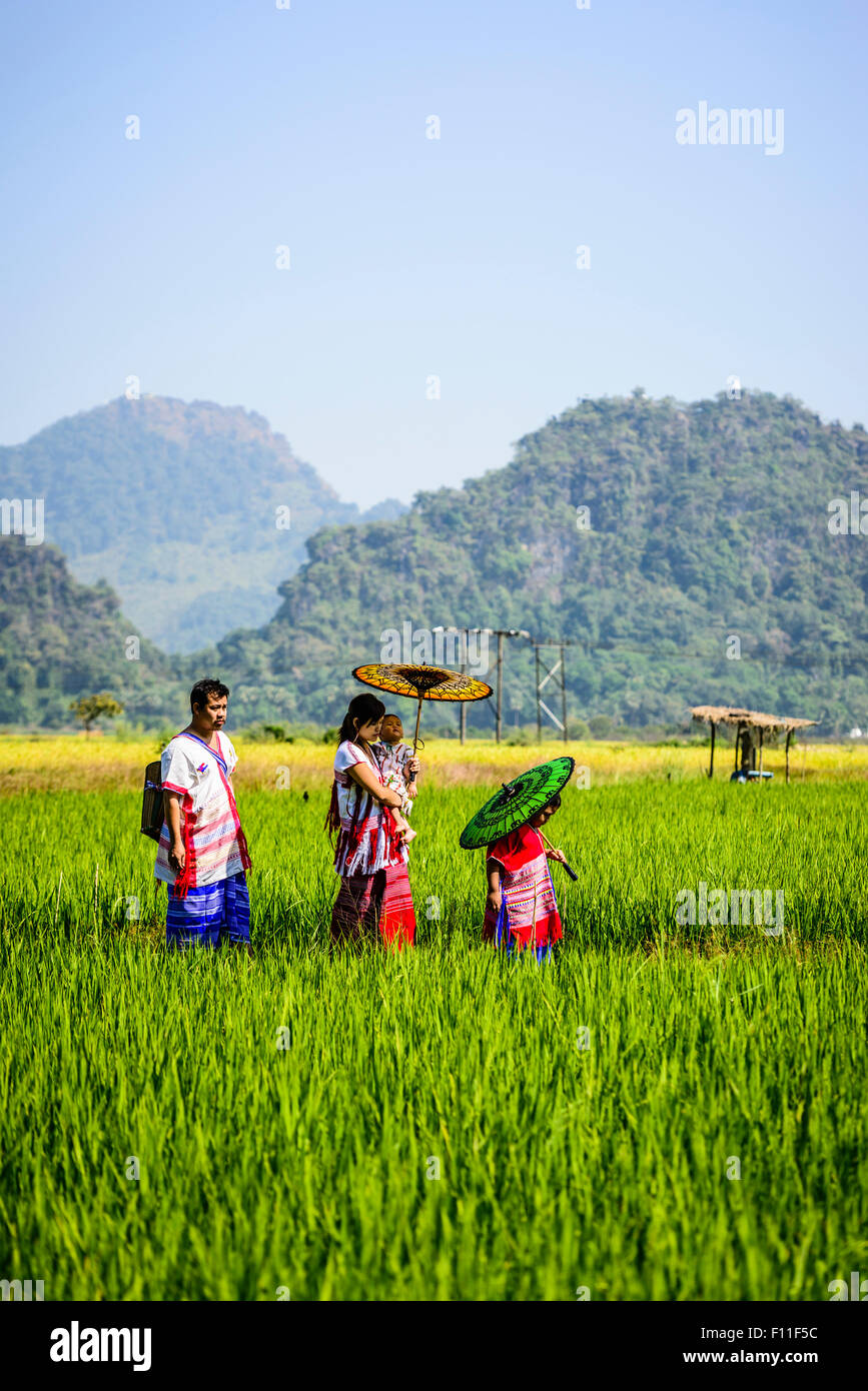 Asian family marcher sous des parasols in rural field Banque D'Images