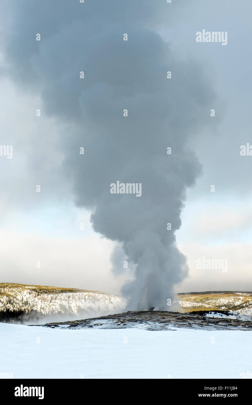 L'augmentation de la vapeur d'Old Faithful Geyser, Yellowstone, Wyoming, United States Banque D'Images