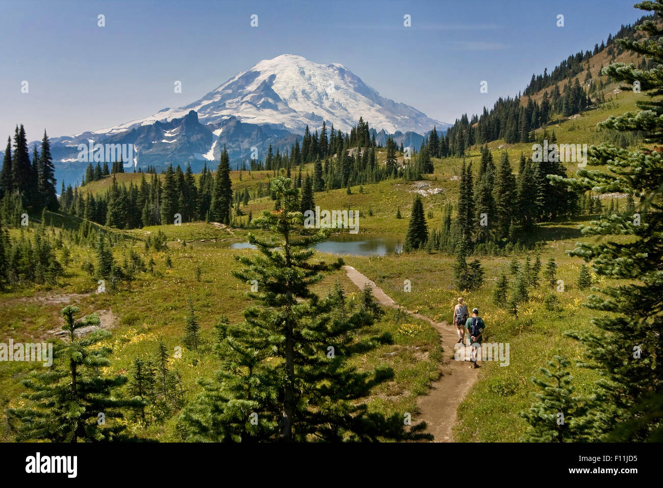 Randonneurs sur le sentier à distance et le Mt Rainier, Washington, United States Banque D'Images