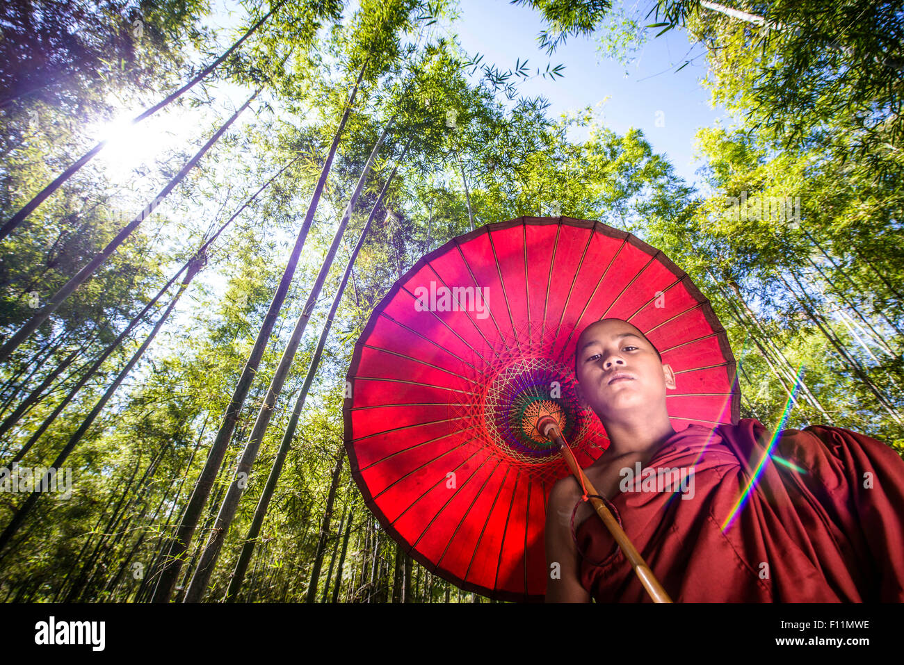 Low angle view of Asian monk en formation sous un parasol en forêt Banque D'Images
