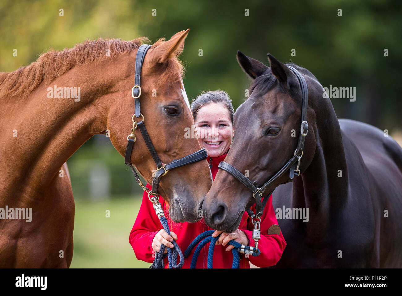Femme cheval hanovrien menant deux mares Banque D'Images
