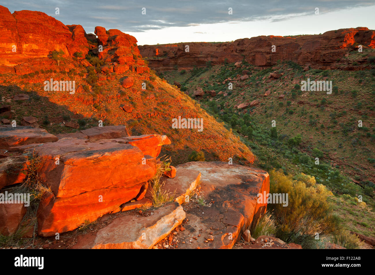 Kings Canyon (Watarrka) dans la lumière du soir. Banque D'Images