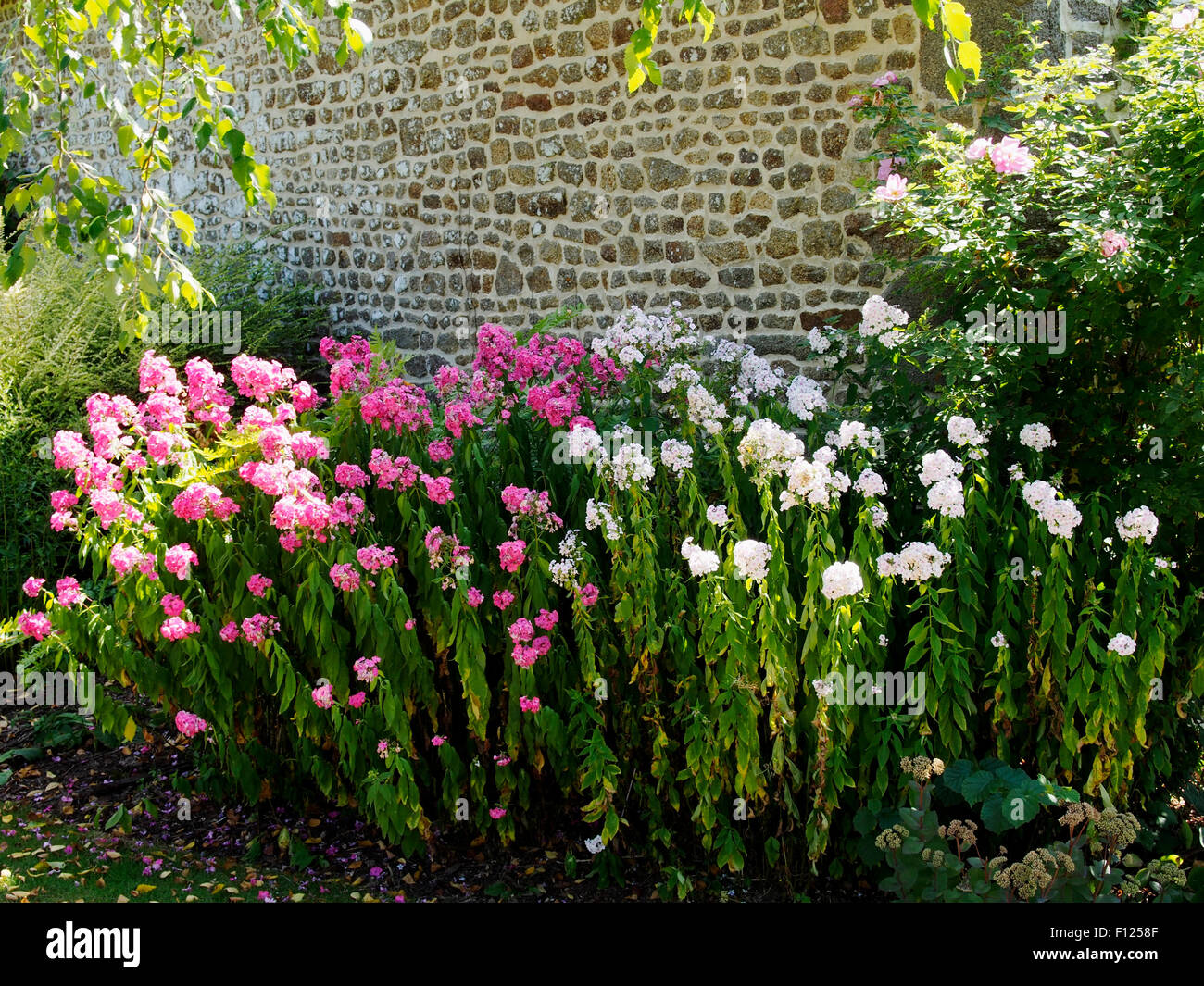 Scène dans la belle Les Jardins des Renaudies jardins près de Gorron,  Mayenne, Pays de Loire, France Photo Stock - Alamy