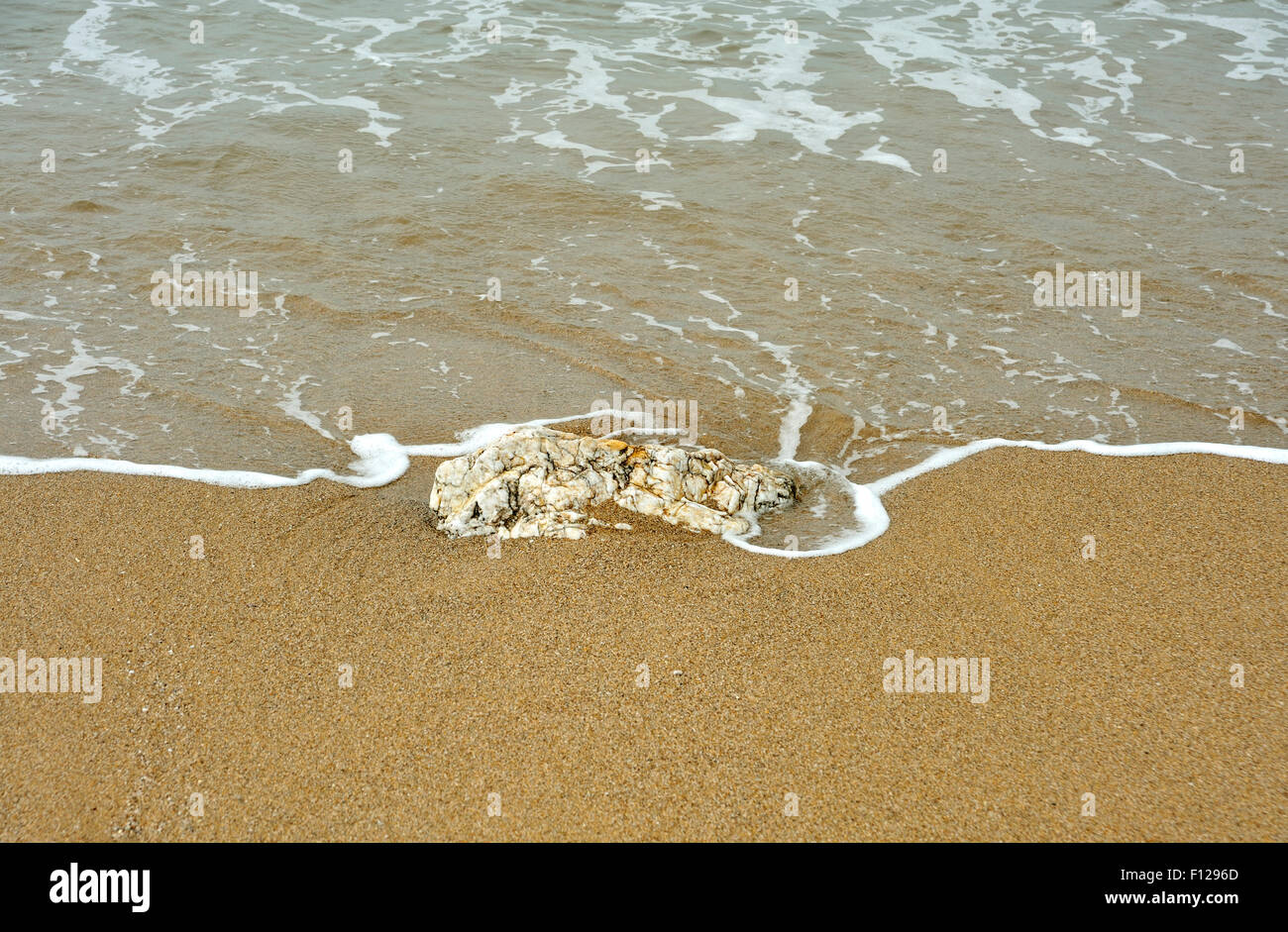 Plage de sable avec Devon en marée à venir Banque D'Images