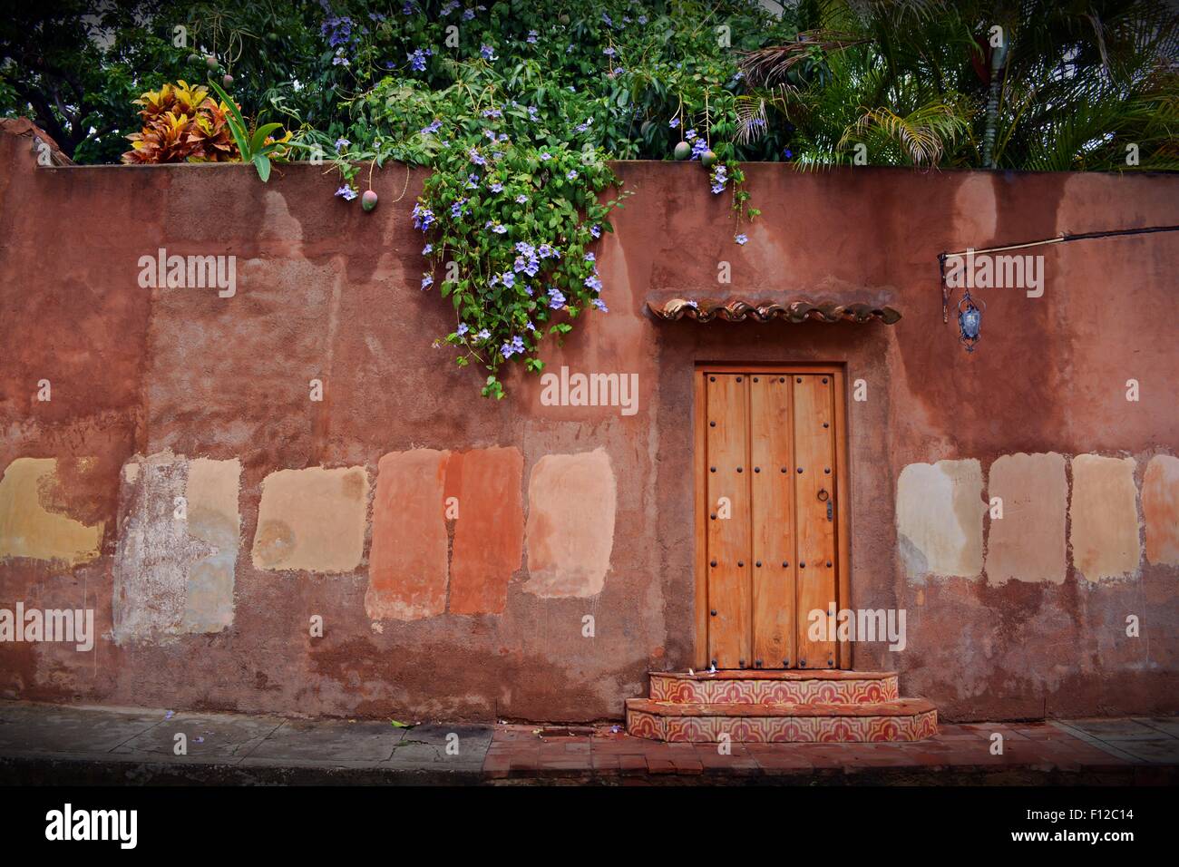 Porte en bois rustique situé dans un mur d'un jardin tropical à Santa Clara Cuba Banque D'Images