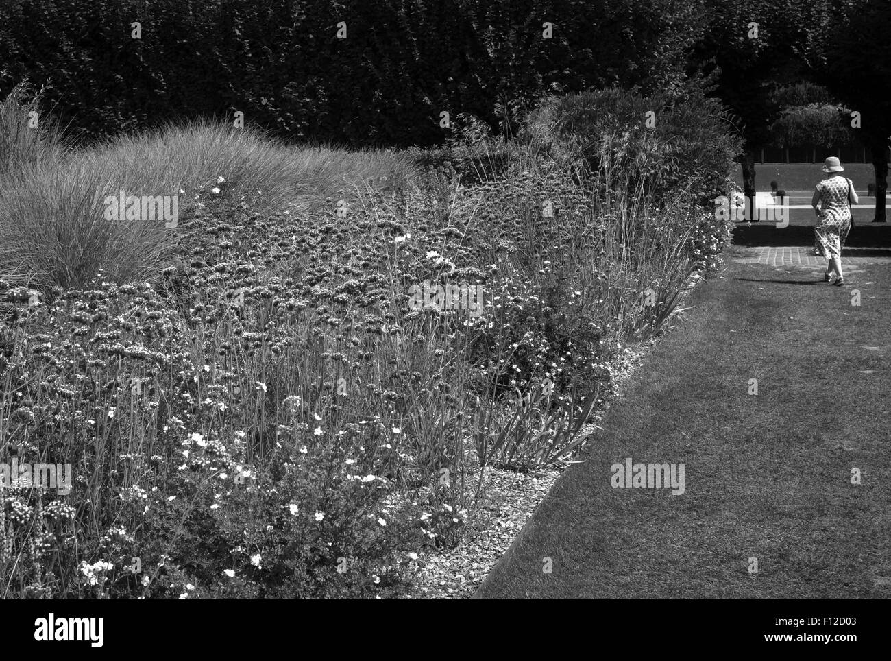 La Chambre des nuages, les Jardins du Château de Villandry, vallée de la Loire, France Banque D'Images