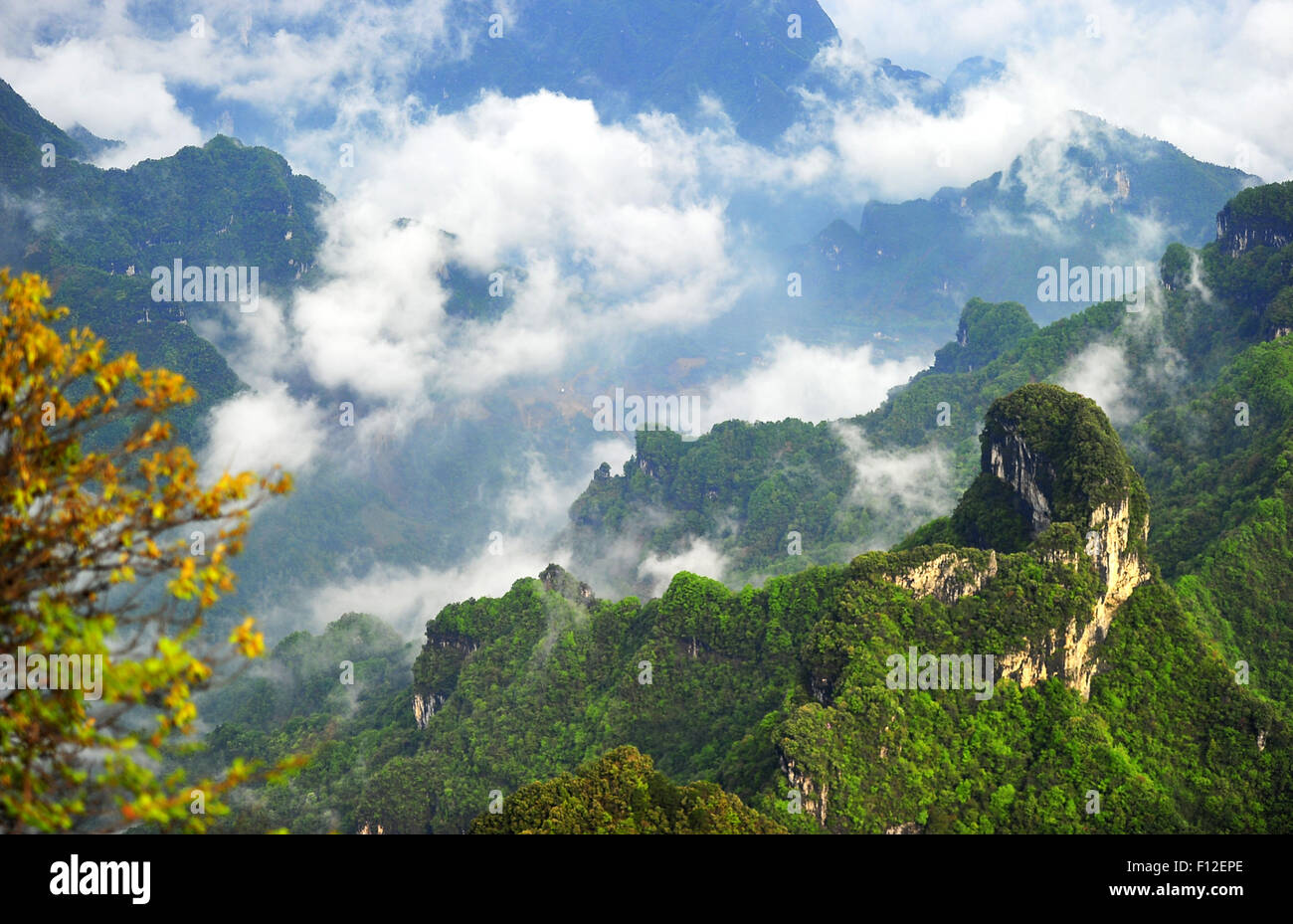 Vue paysage de Zhangjiajie, province du Hunan, Chine, 2011-2015. Banque D'Images