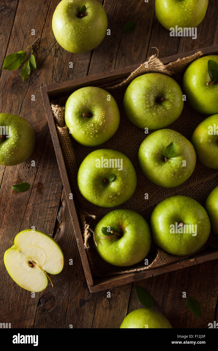 The Vert Granny Smith Apple prêt à manger Banque D'Images