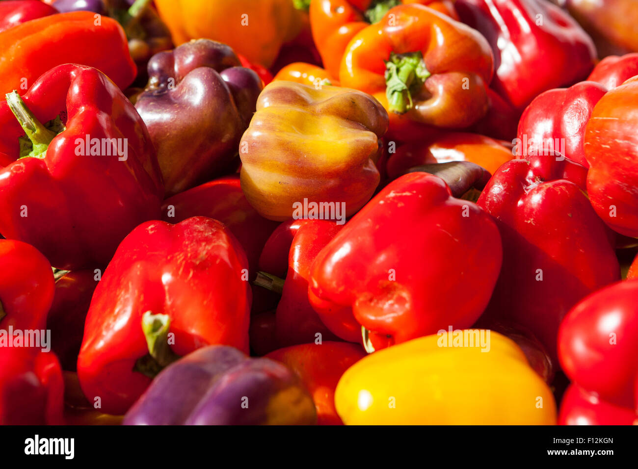 Poivrons bio, marché des producteurs, Santa Barbara, Californie Banque D'Images