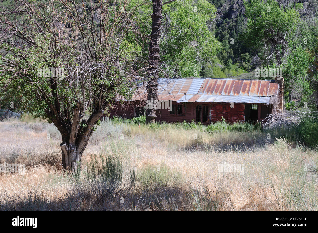 Maison abandonnée avec toit en tôle ondulée de la Forêt Nationale los Padres au nord de Ojai, Californie Banque D'Images