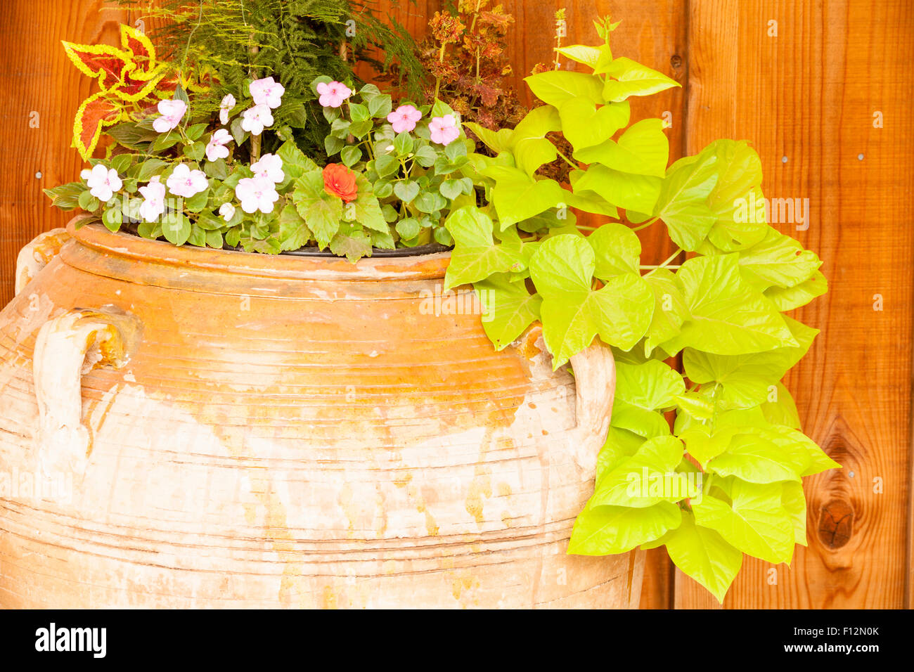 Les plantes en pot, décor rustique, Roblar Winery, Solvang, Californie Banque D'Images