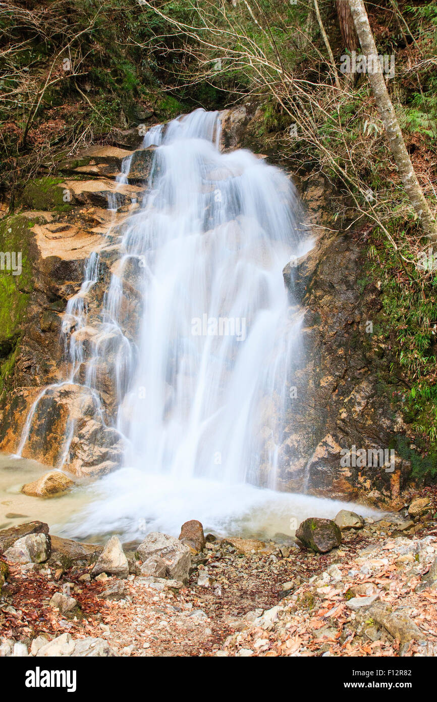 Tsumago, au Japon. L'O'Taki waterfall dans les montagnes le long de la vieille route Nakasendo. Effet d'eau soyeuse d'obturation lente. Couvert de l'éclairage. Banque D'Images