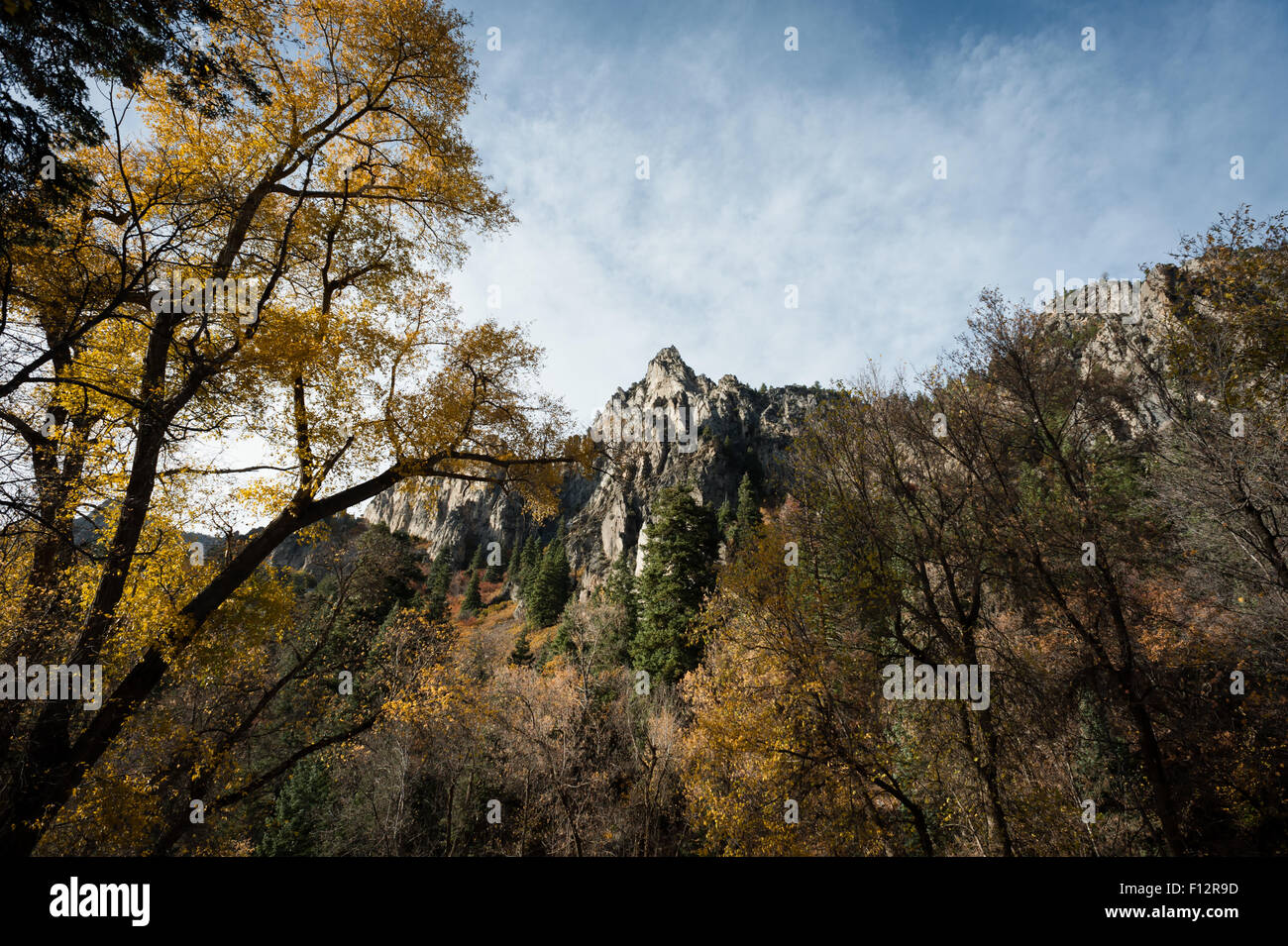 Les feuilles d'automne et rock formation in Utah comté. Banque D'Images