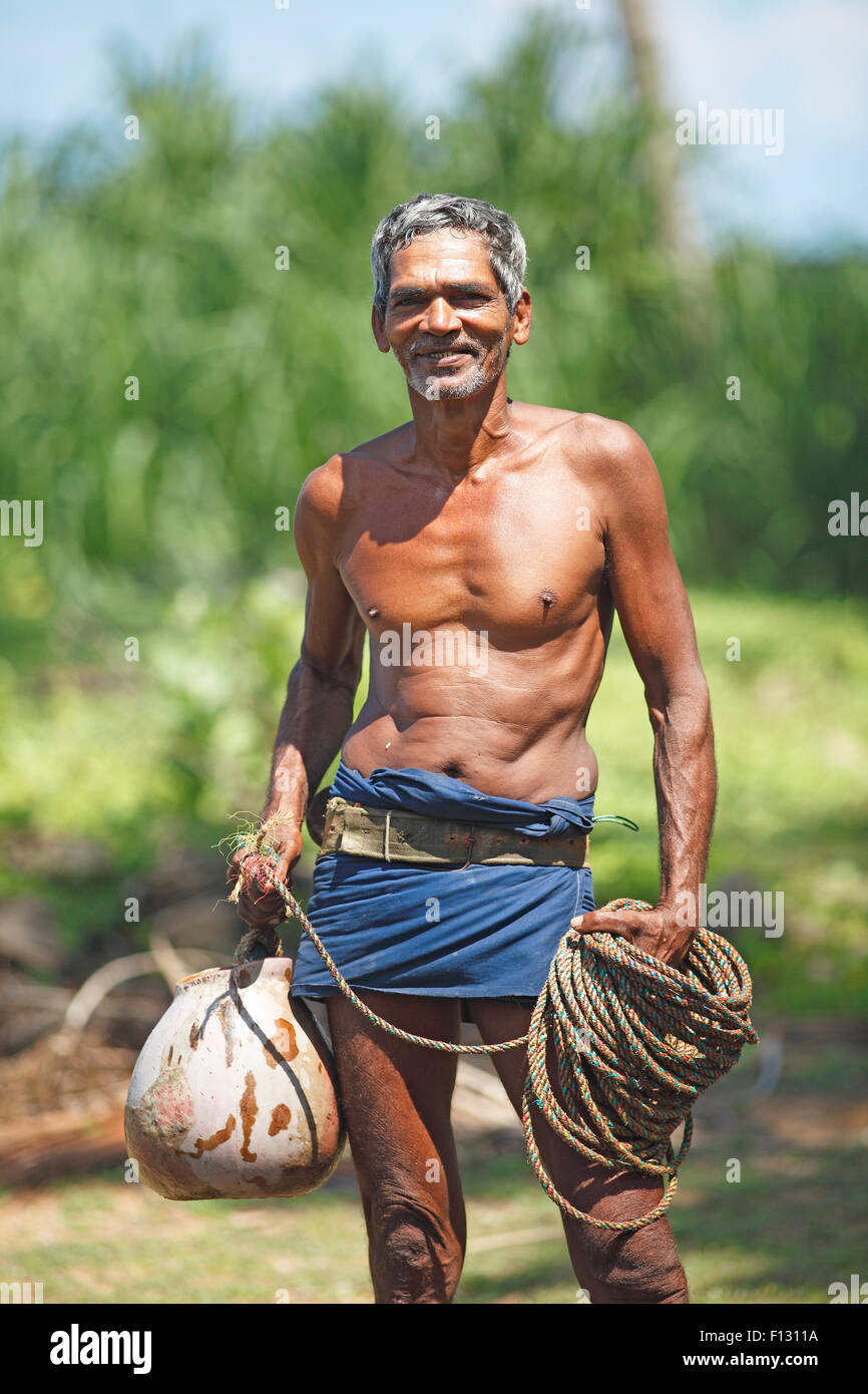 Toddy Tapper avec corde pour recueillir le jus de palme, Wadduwa, Province de l'Ouest, Ceylan, Sri Lanka Banque D'Images