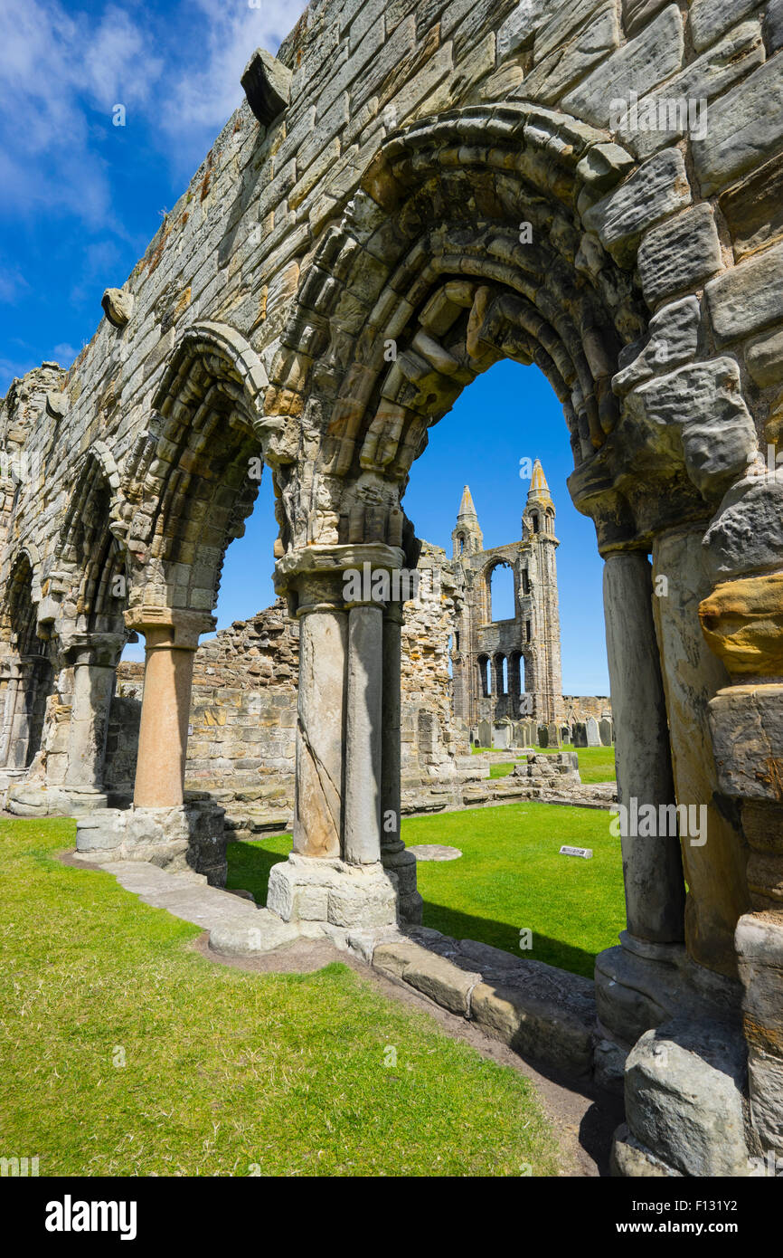 Ruines de la cathédrale de St Andrews St Andrews, Fife, Scotland Banque D'Images