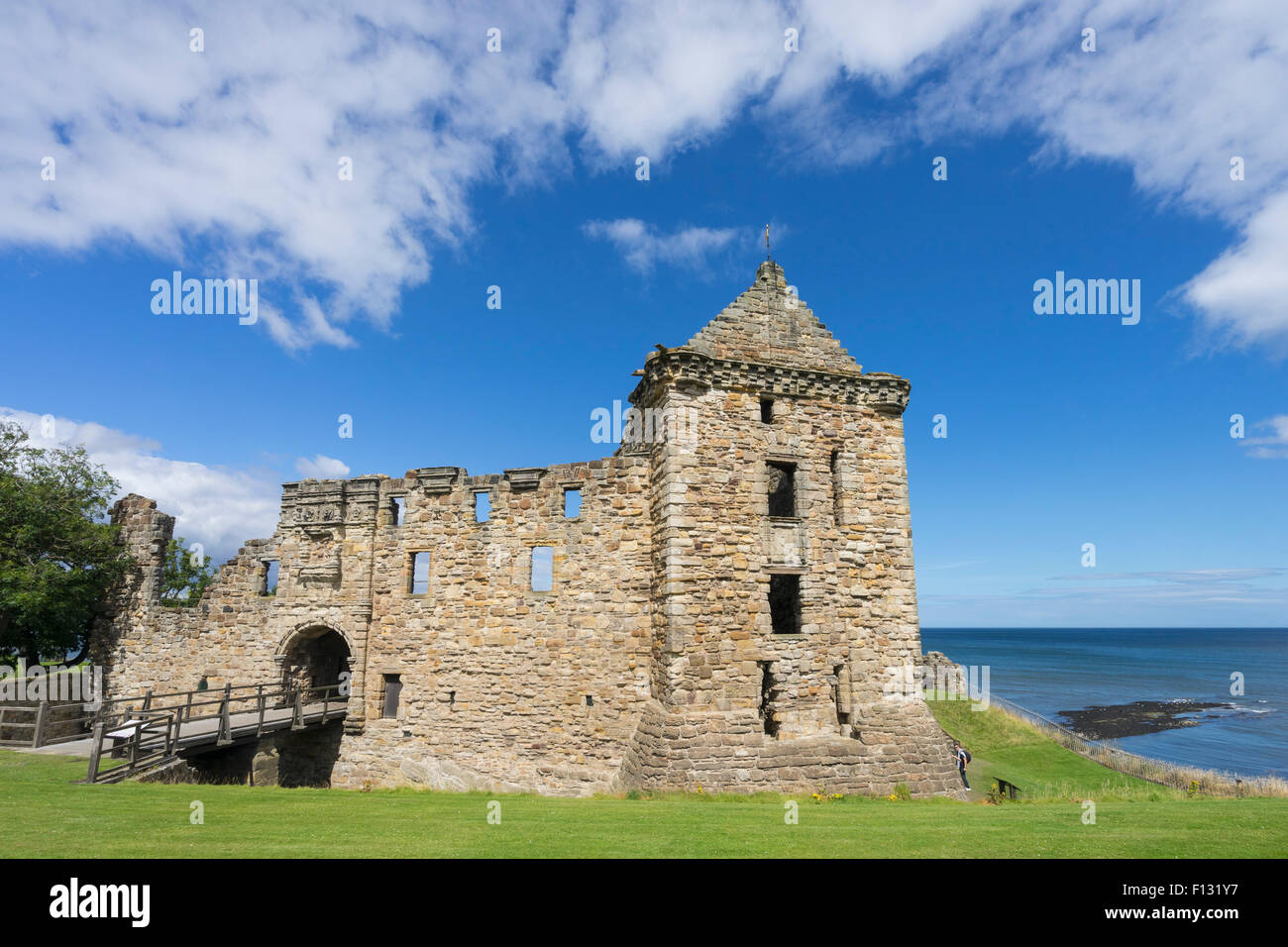 Ruines du château de St Andrews, St Andrews, Fife, Scotland Banque D'Images