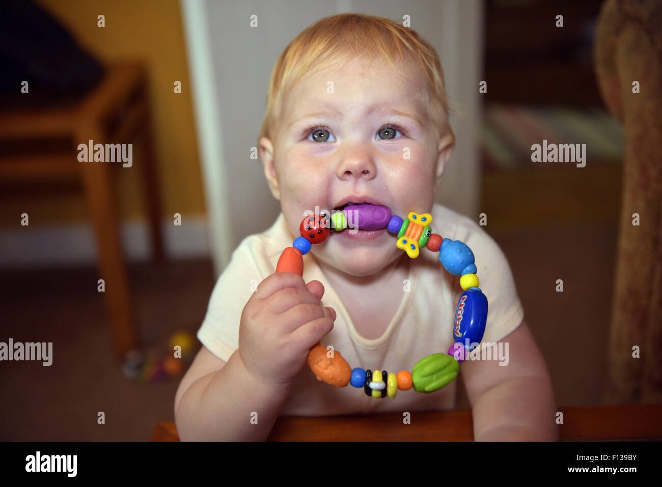 Un bébé de onze mois à mâcher sur un anneau de dentition en plastique pour  atténuer la douleur et l'inconfort de mal de dent Photo Stock - Alamy