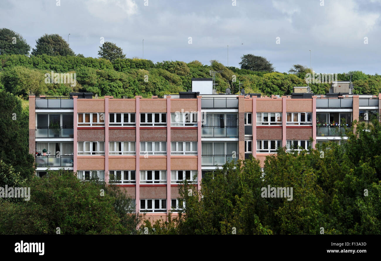Les appartements du conseil de Swanborough cachés dans Whitehawk Council Estate Brighton UK - ils ont été récemment jugés dangereux et pourraient devoir être démolis Banque D'Images
